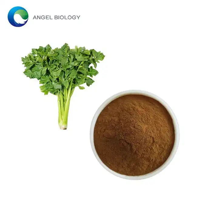 Celery Extract Powder